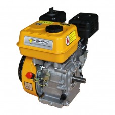 Бензиновий двигун Forte F210GS-20