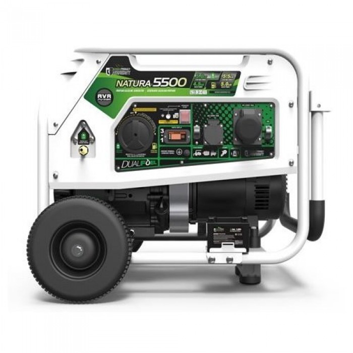 Генератор бензин - газ GENERGY NATURA 5000 5,5/5 кВт (240026090)
