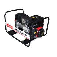 Генератор бензиновий зварювальний 5.2 кВт Fogo FM8220W